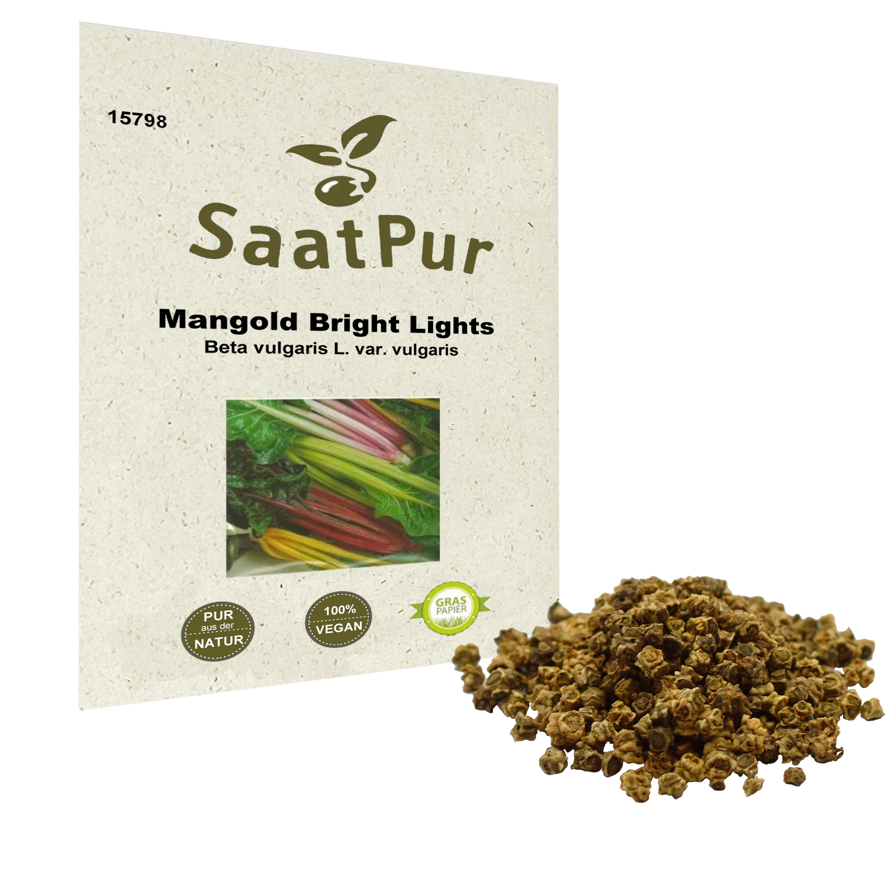 Mangold Bright Lights