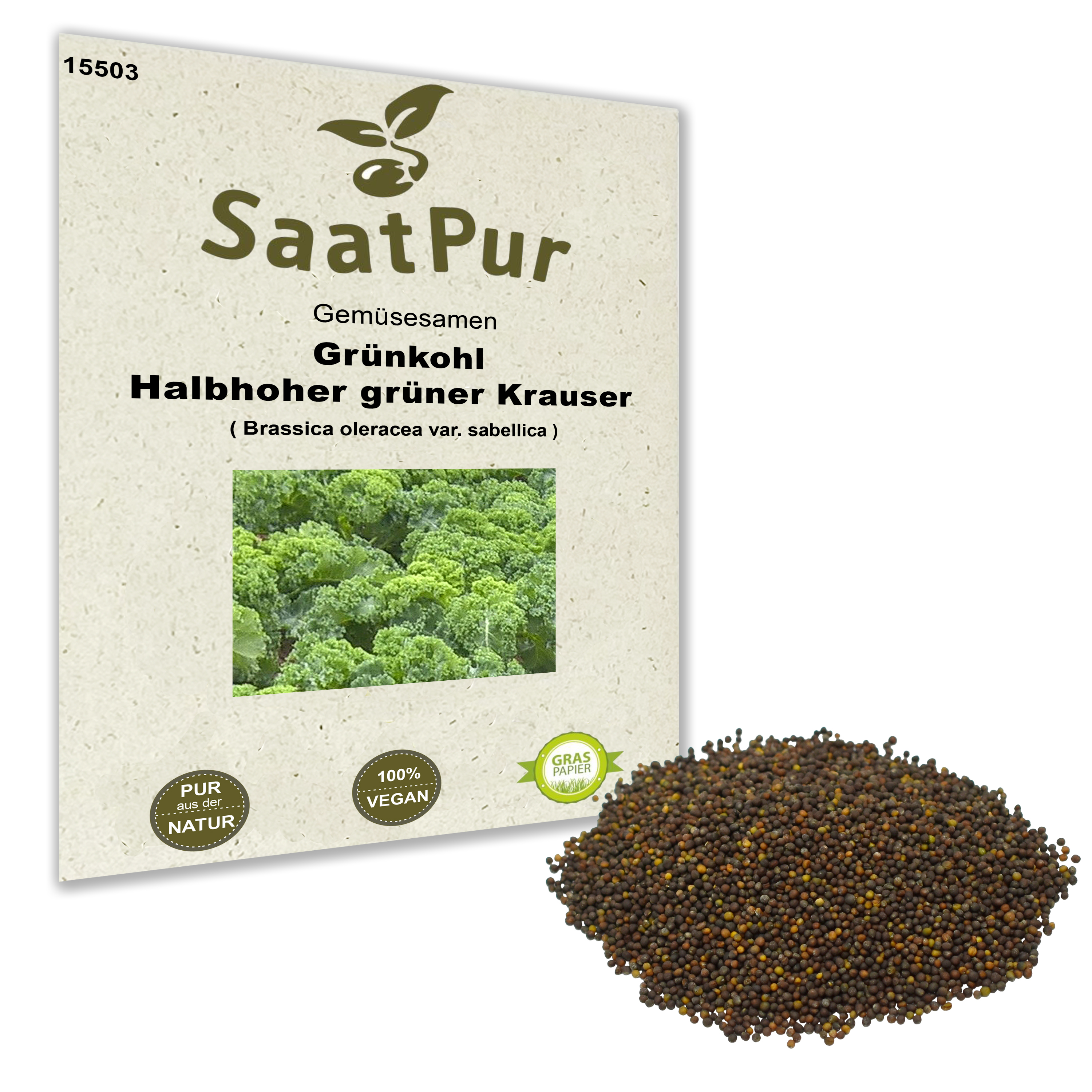 Grünkohl Halbhoher grüner krauser