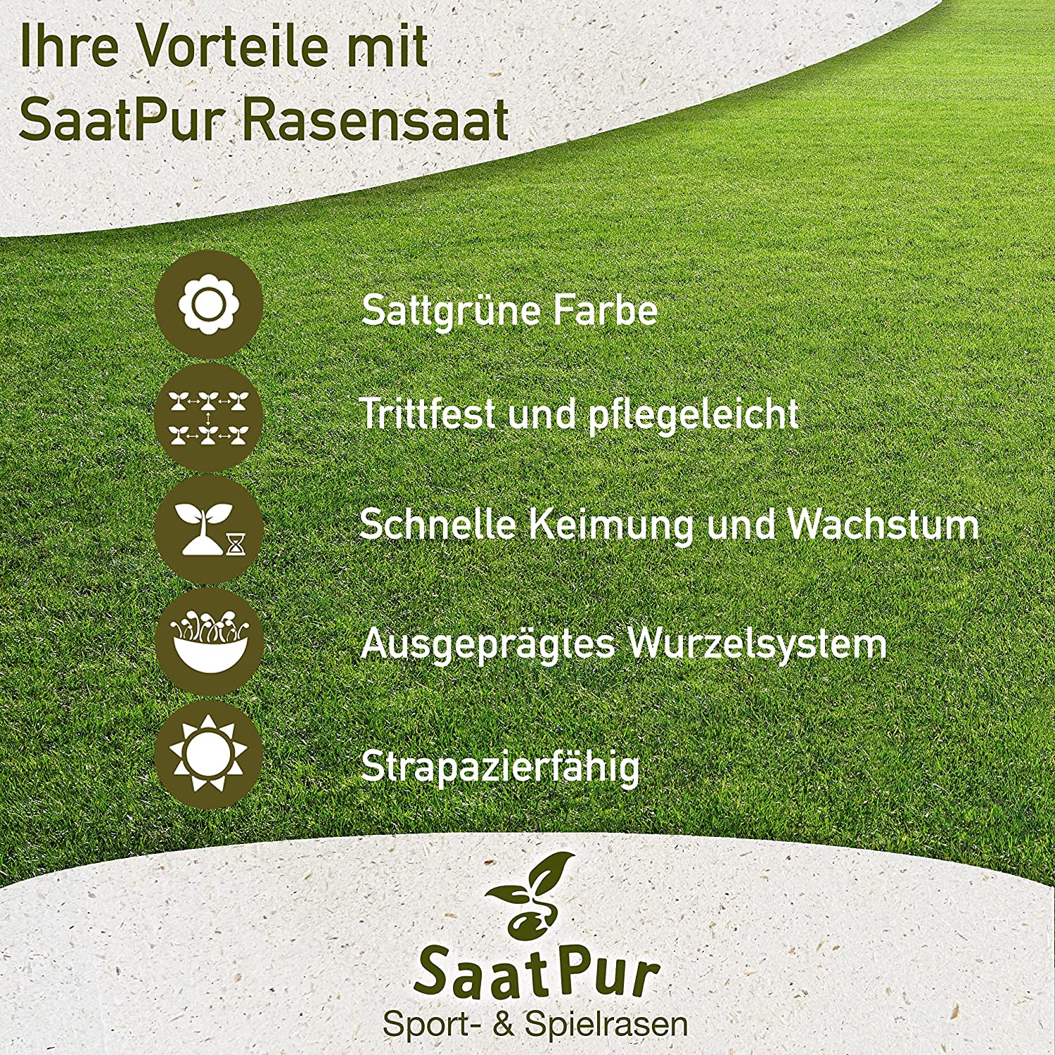 SaatPur Rasensamen Sport und Spielrasen