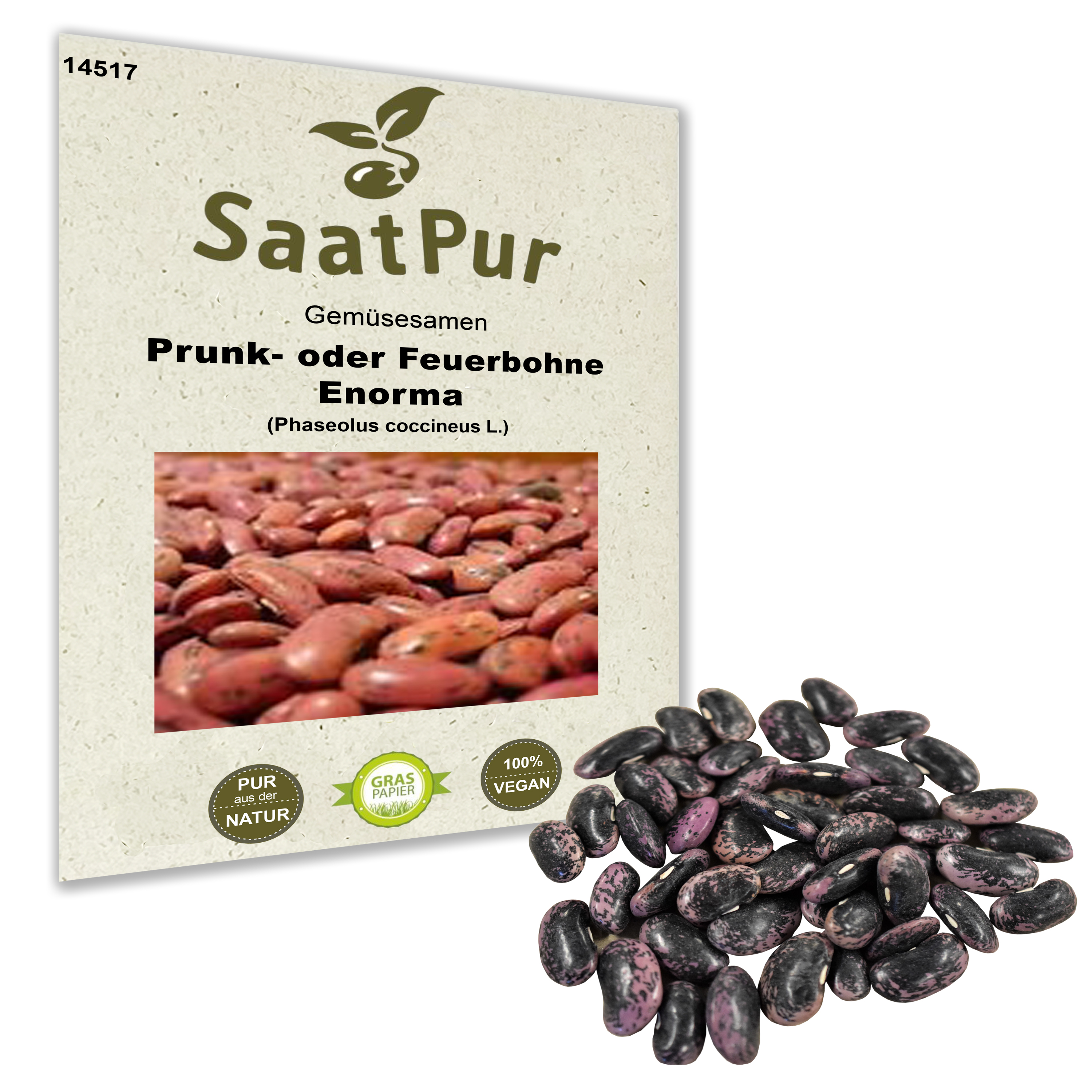 Prunk- oder Feuerbohne Enorma