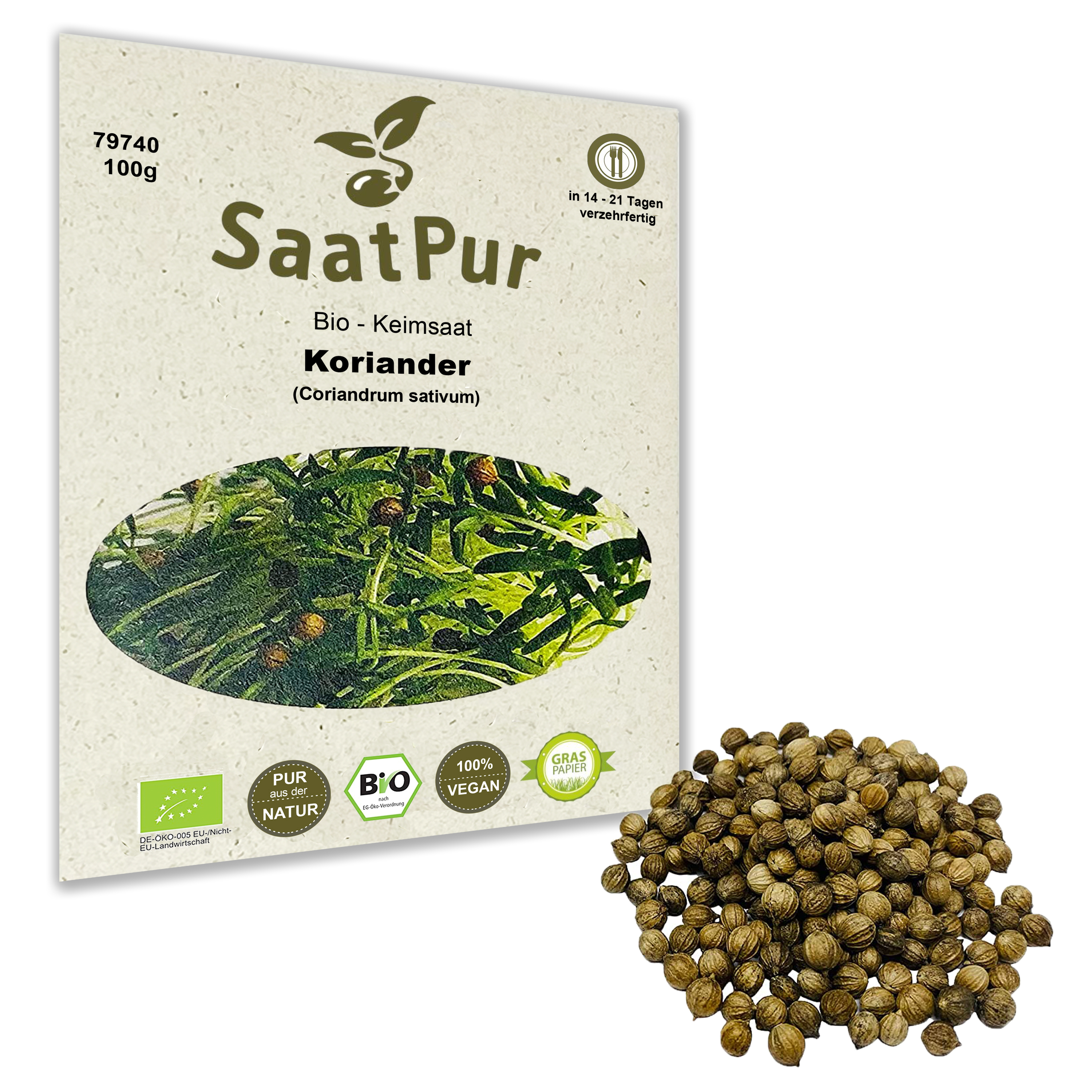 BIO Keimsaat Koriander Keimsprossen Microgreens