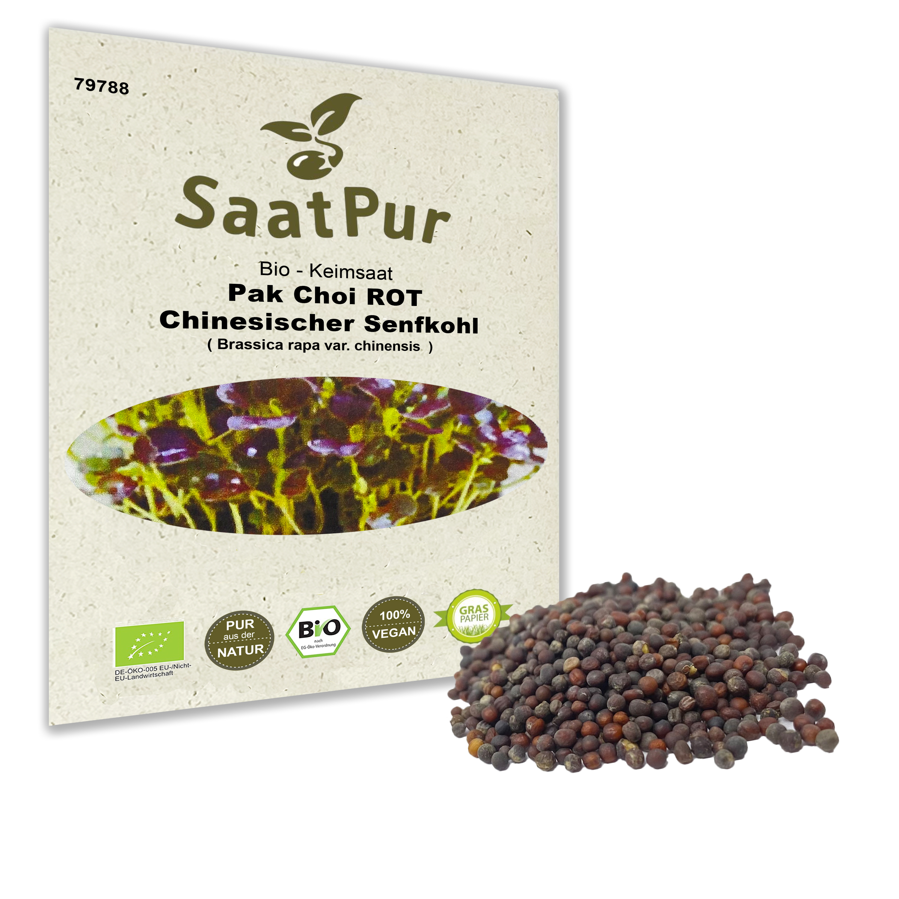 BIO Keimsprossen Pak Choi ROT Chinesischer Senfkohl Keimsaat Microgreens