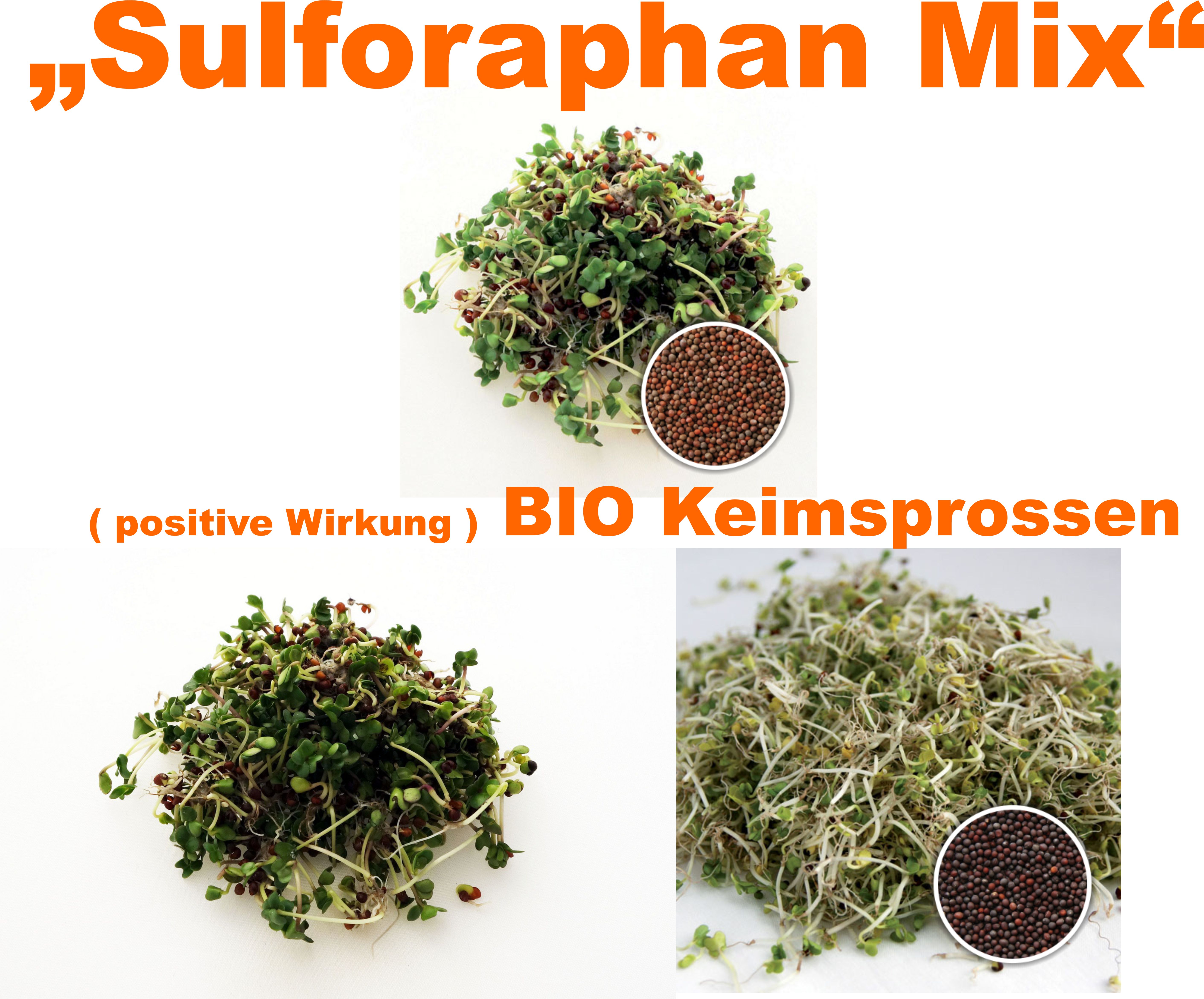 BIO Keimsprossen Sulforaphan MIX
