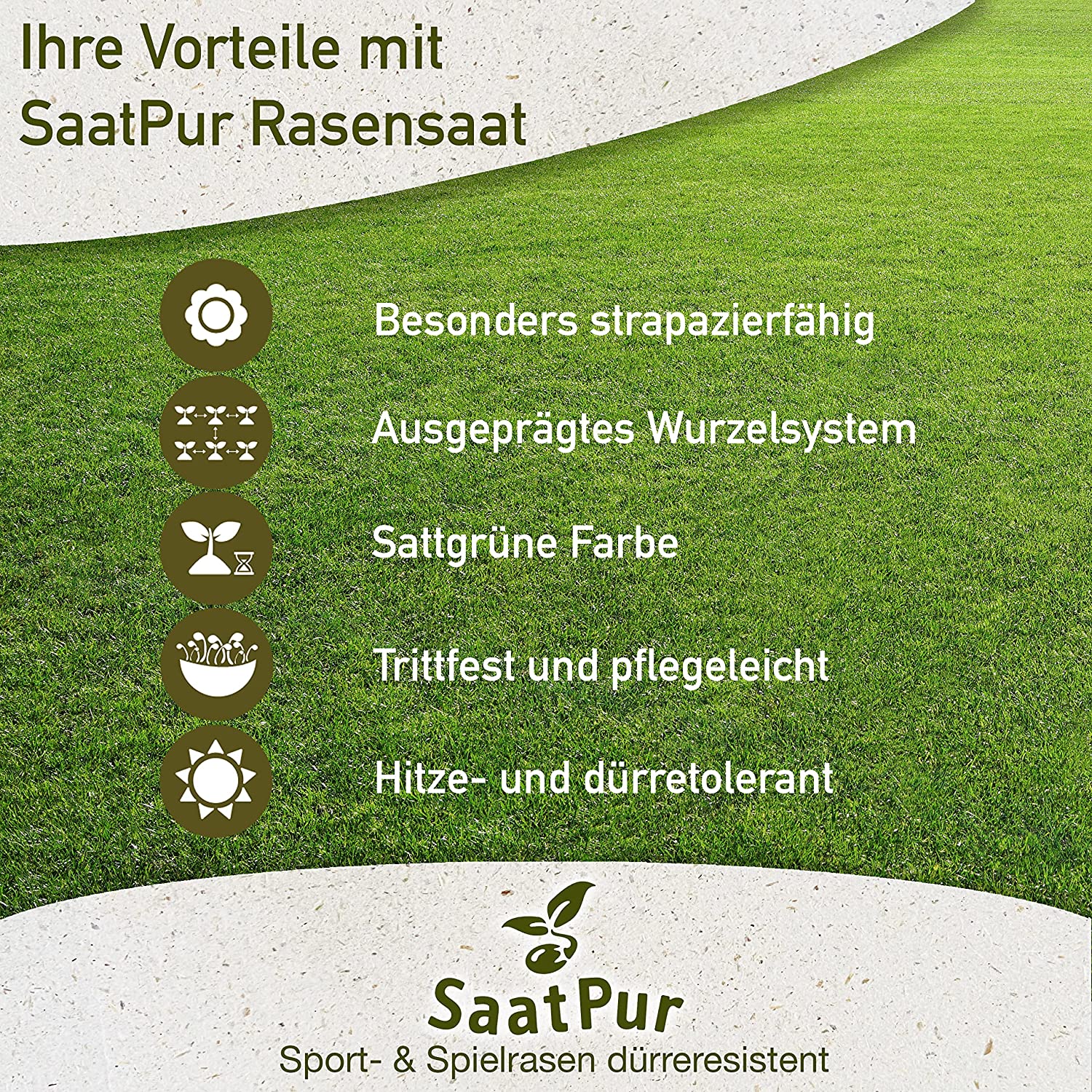 SaatPur Rasensamen dürre Sport & Spiel für trockene Standorte
