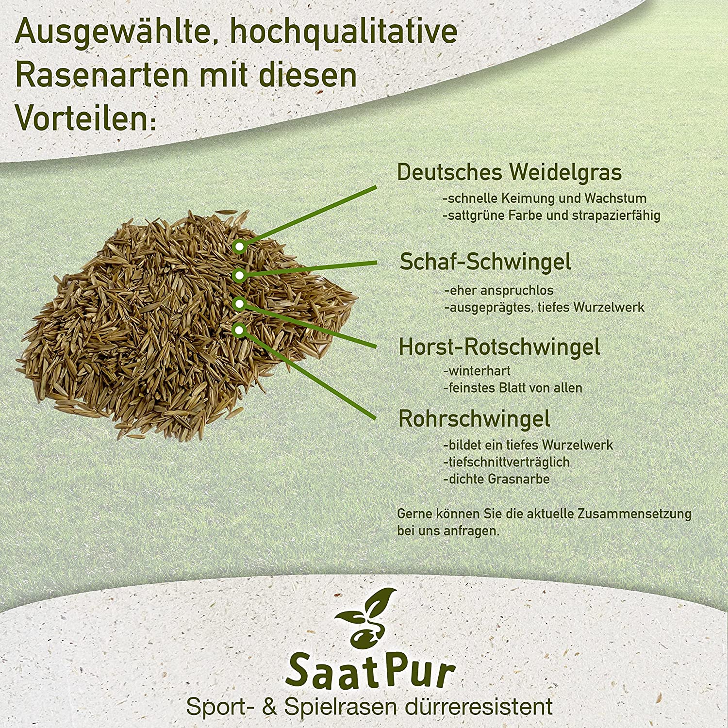 SaatPur Rasensamen dürre Sport & Spiel für trockene Standorte