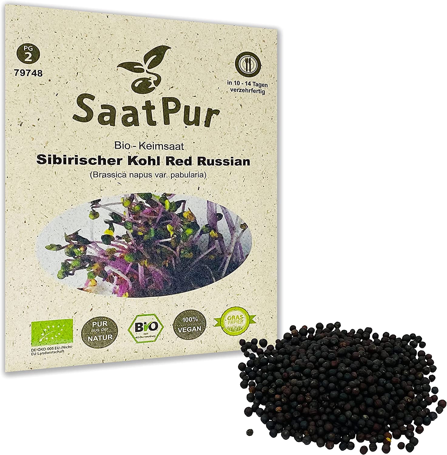 BIO Keimsprossen Sibirischer Kohl Red Russian Keimsaat Microgreen 20g