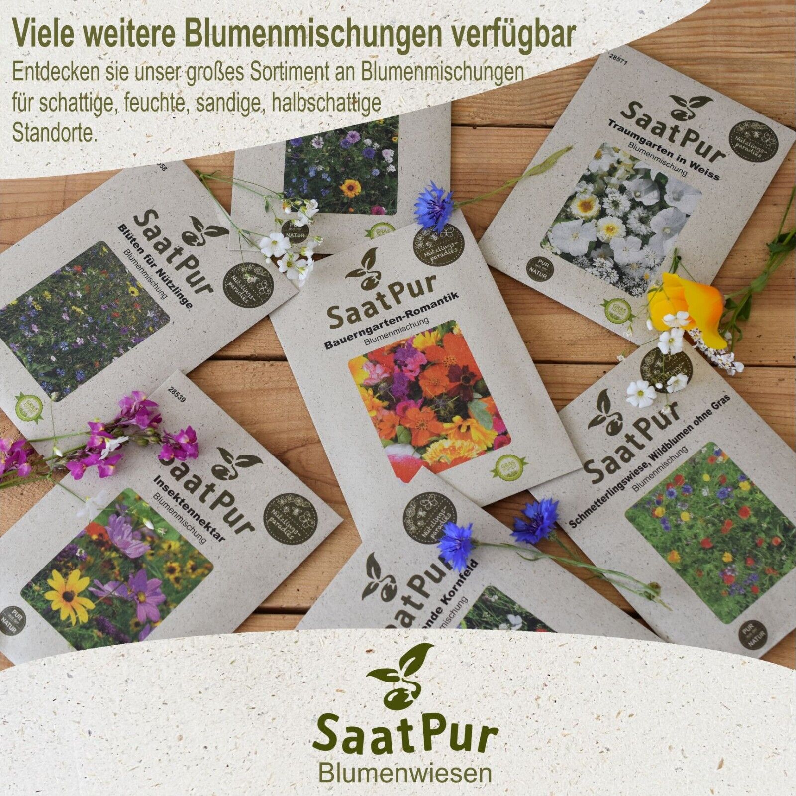 Blumenmischung Feld und Wildblumen