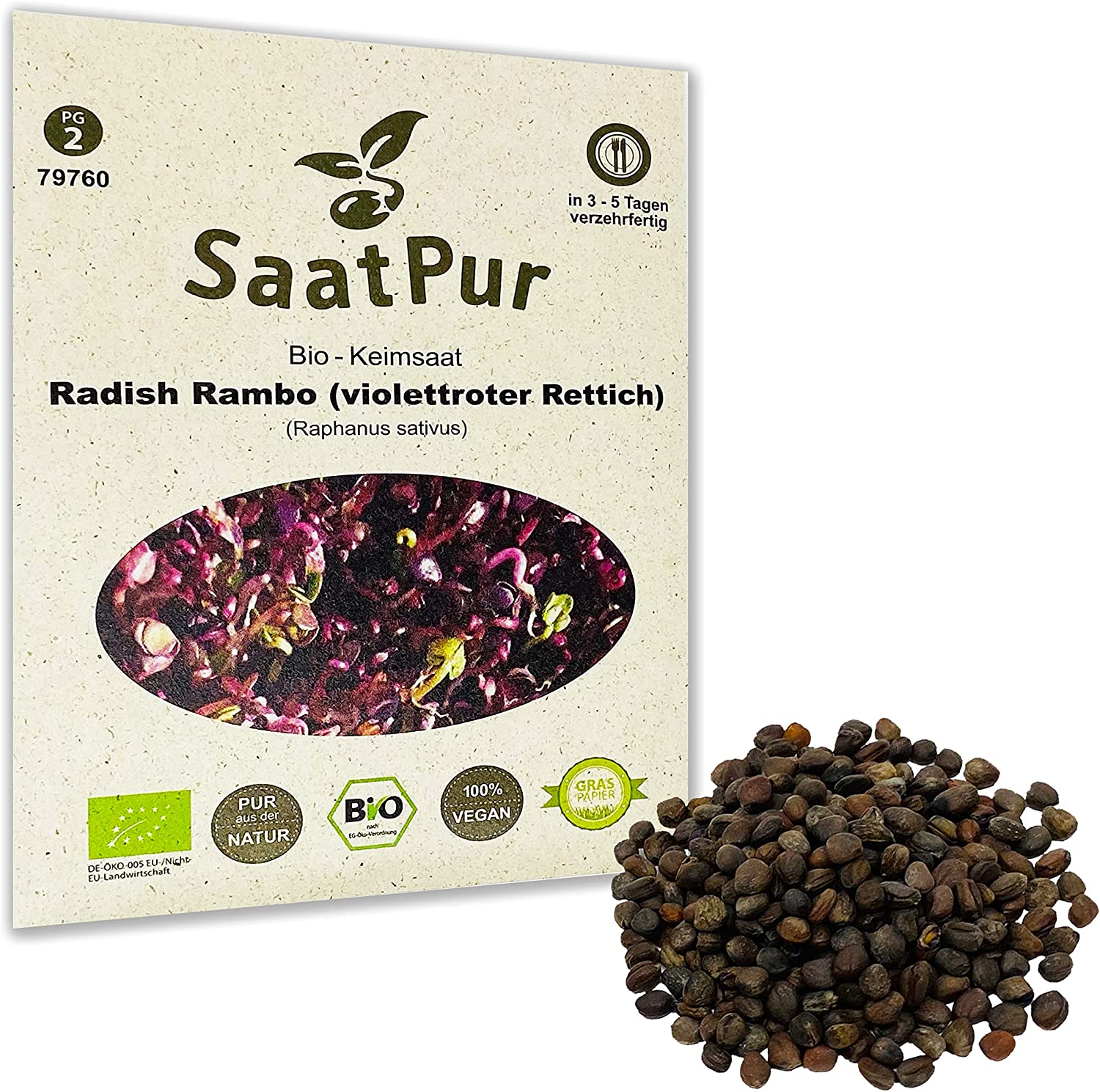 BIO Keimsprossen Radish Rambo violettroter Rettich Keimsaat Microgreen 30g