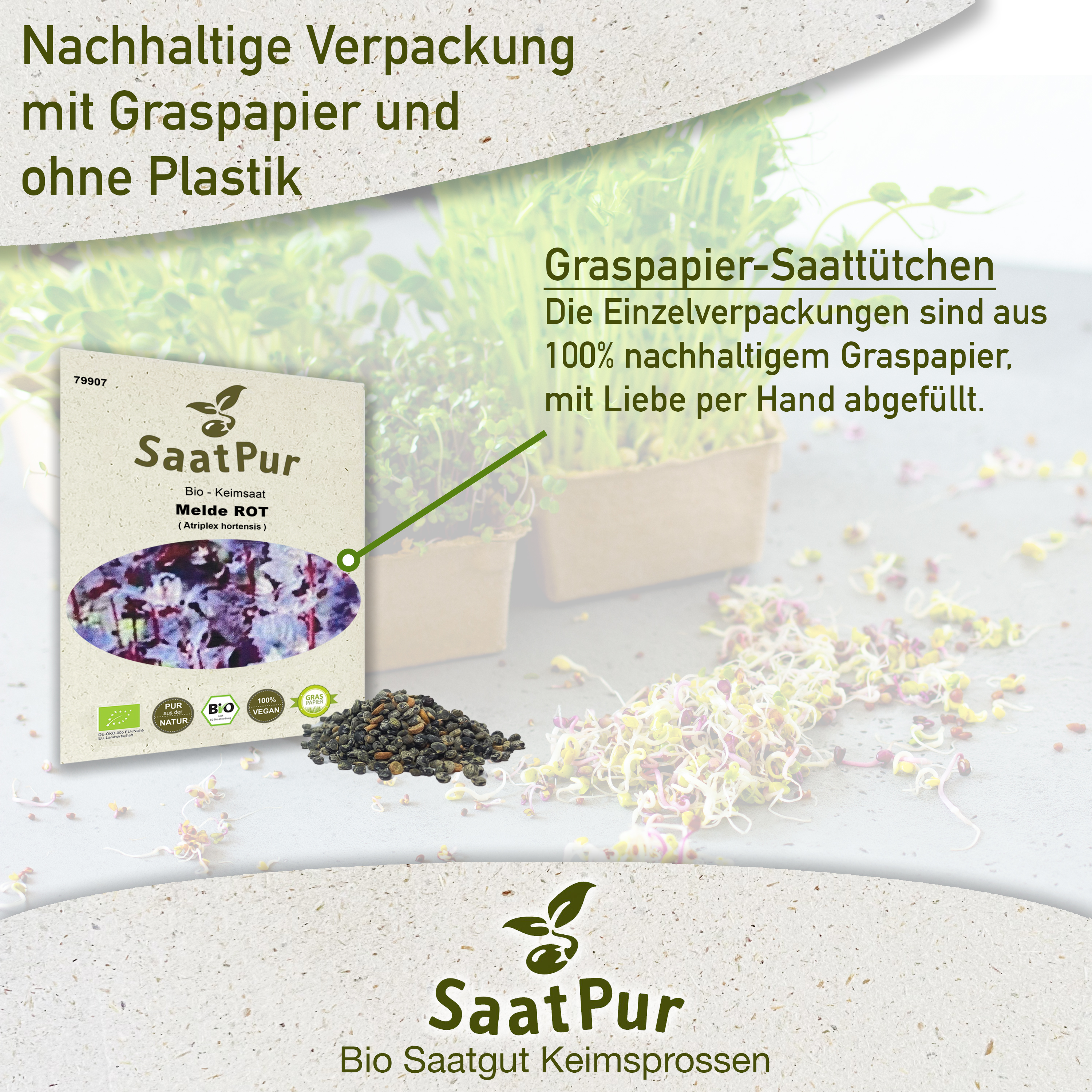 BIO Keimsprossen Melde ROT Keimsaat Microgreens