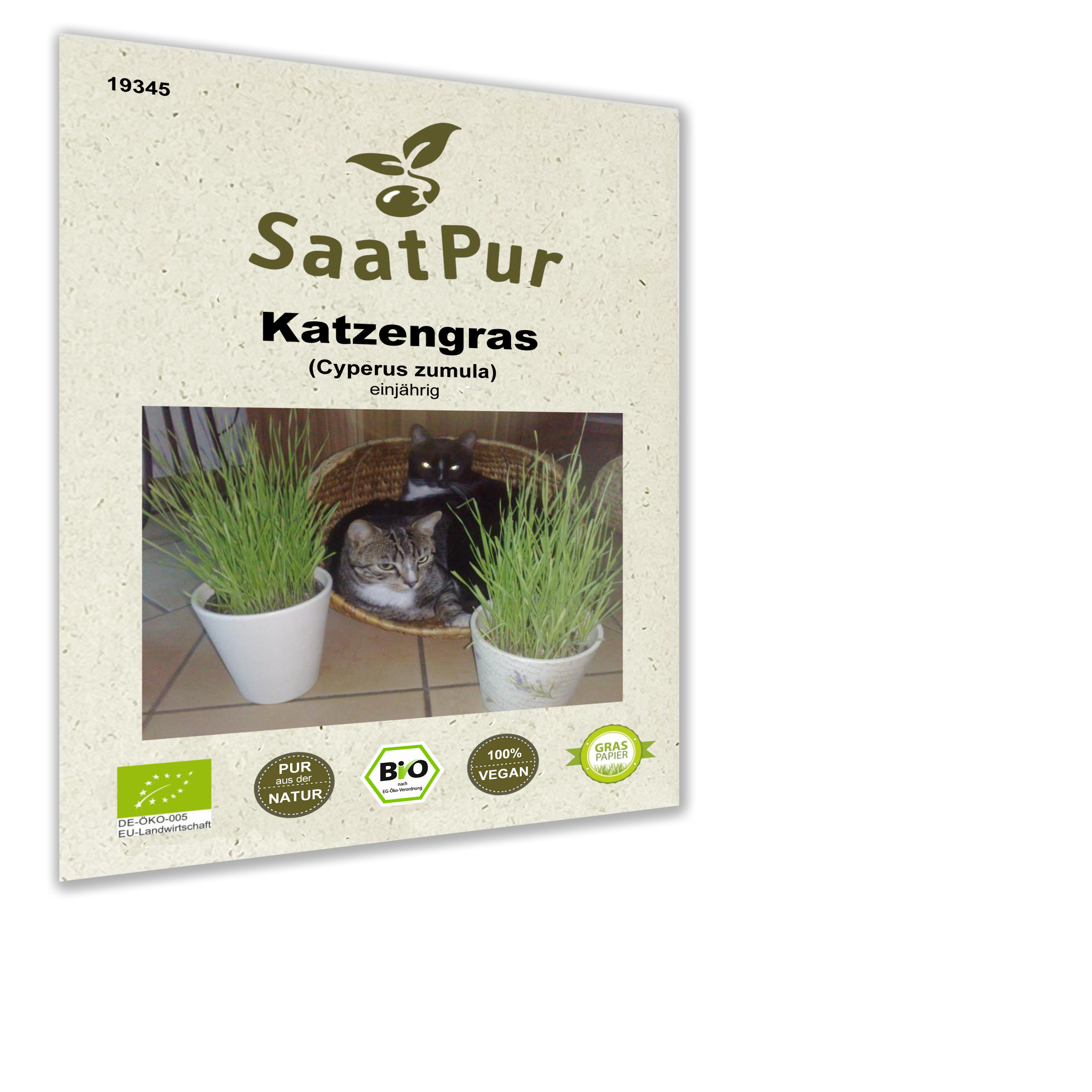 Katzengras Samen