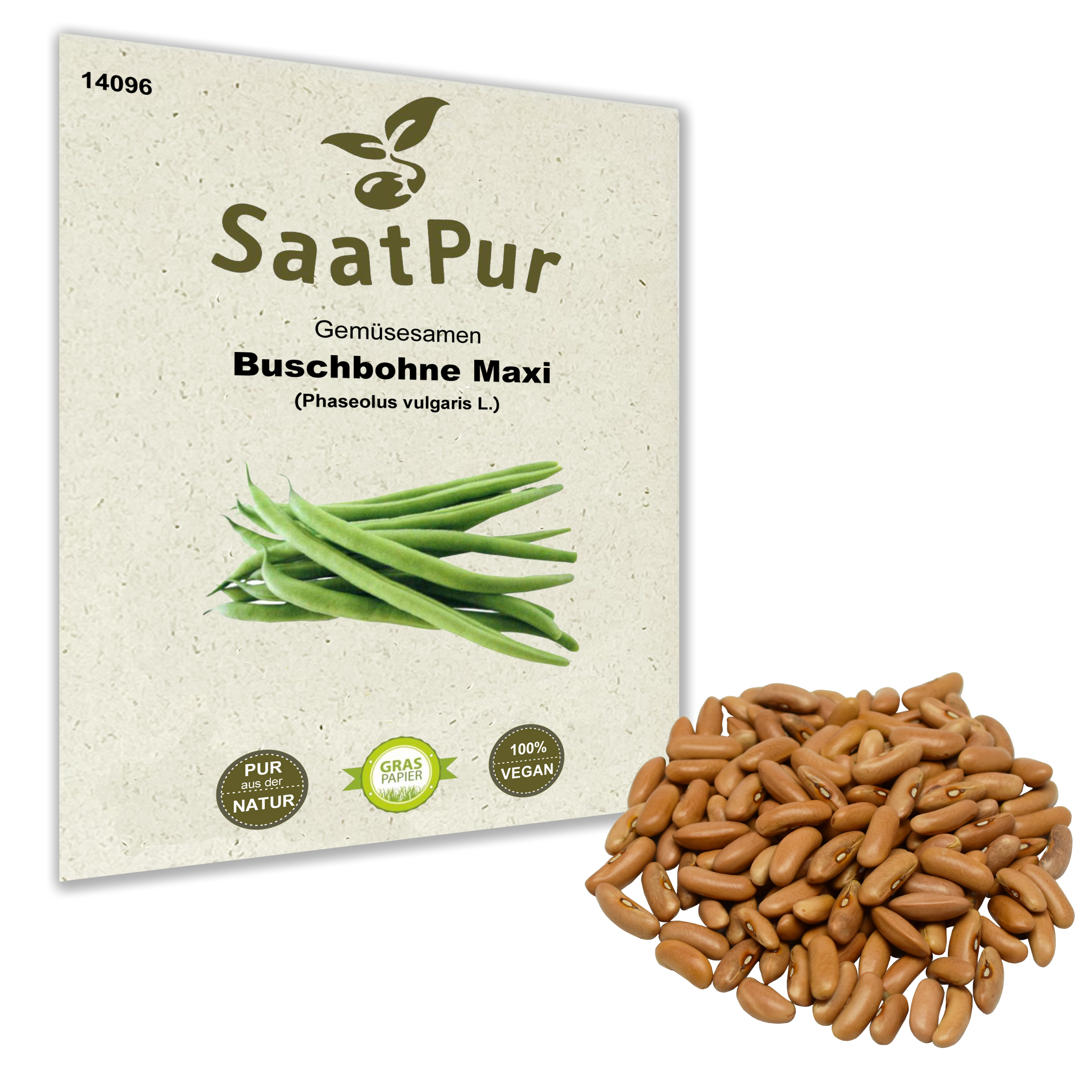 Buschbohne Maxi / Phaseolus vulgaris L.