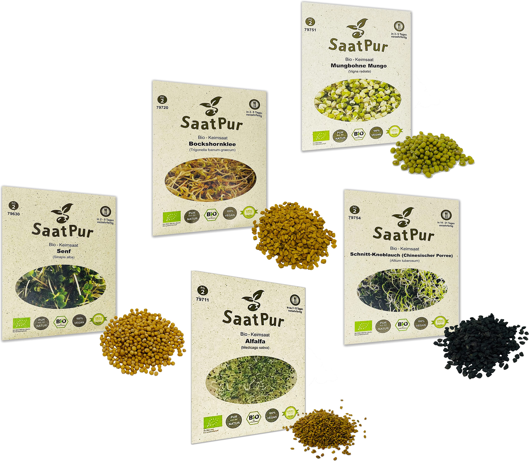 Asia Mix Bio-Keimsprossen Set - Bockshornklee Alfalfa Mungo Senf Schnitt-Knoblauch