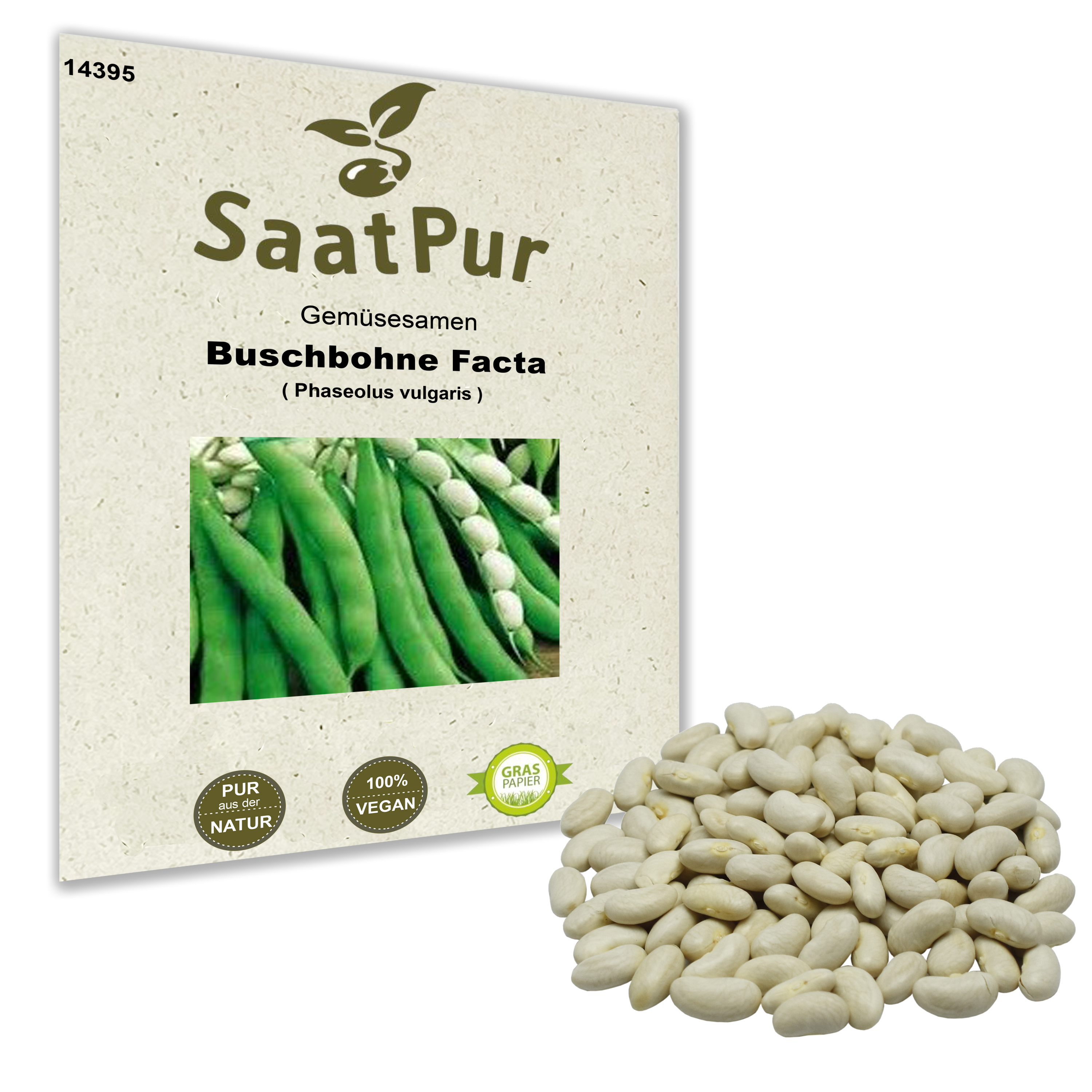 Buschbohne Facta Trockenkochbohne Pahlbohne weiß