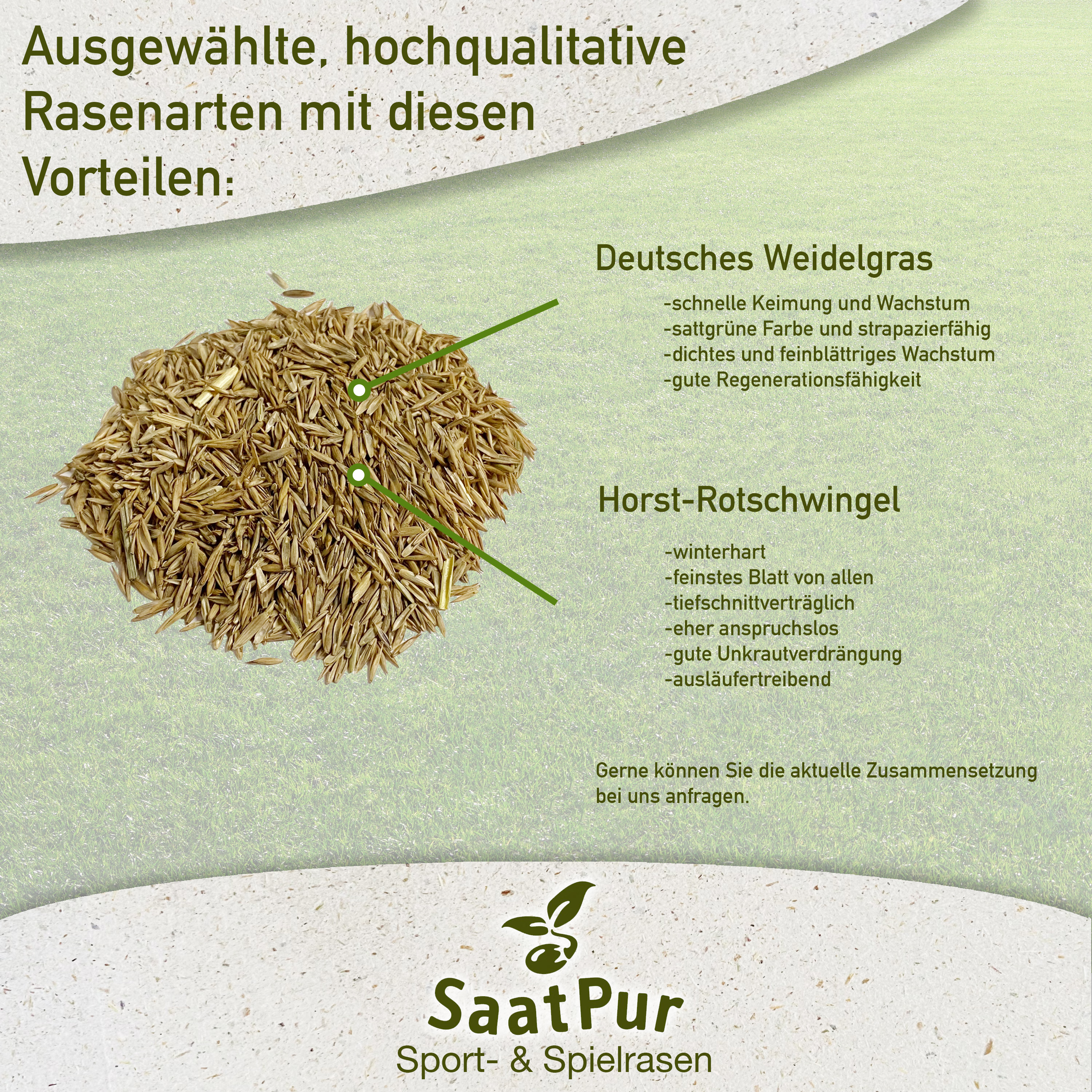 SaatPur Rasensamen Sport und Spielrasen