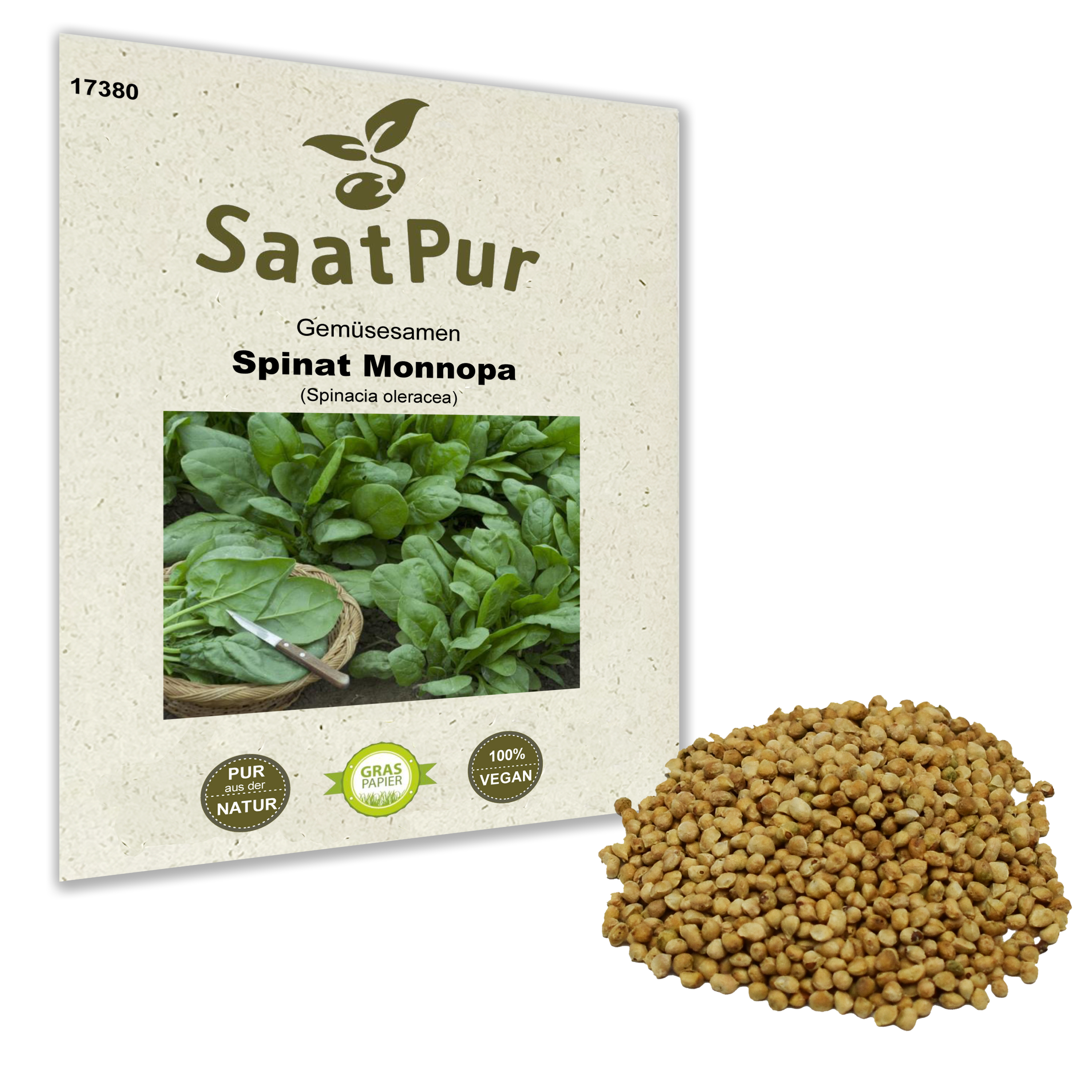 Spinat Monnopa Blattspinat winterhart