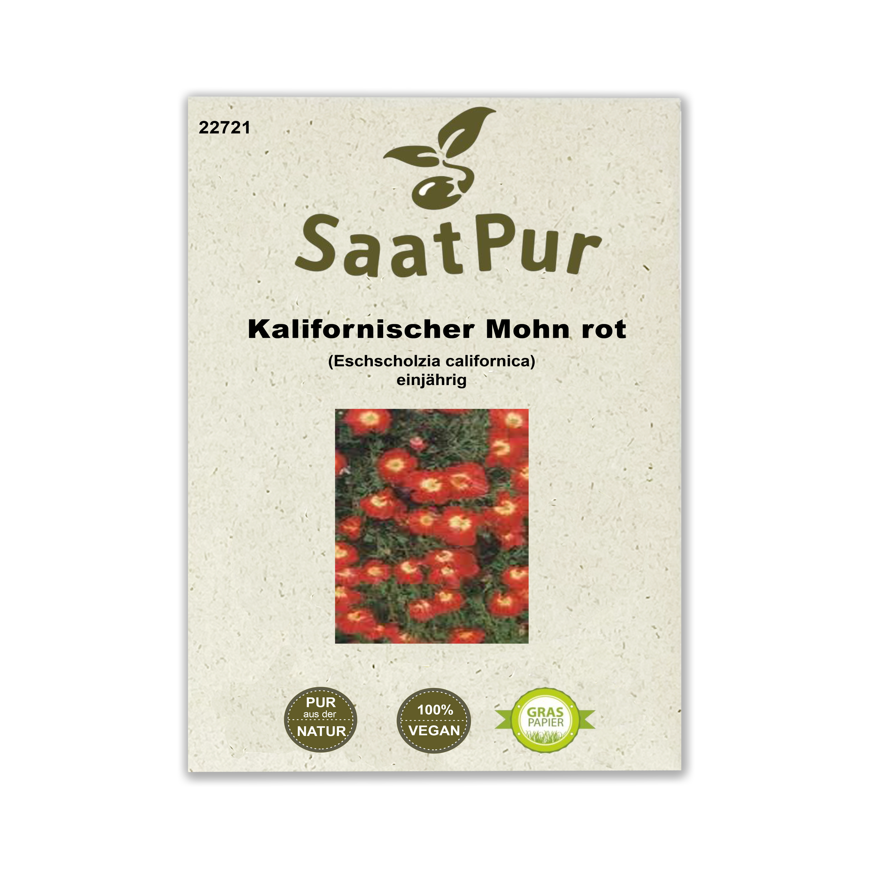 Kalifornischer Mohn Dalli SZB