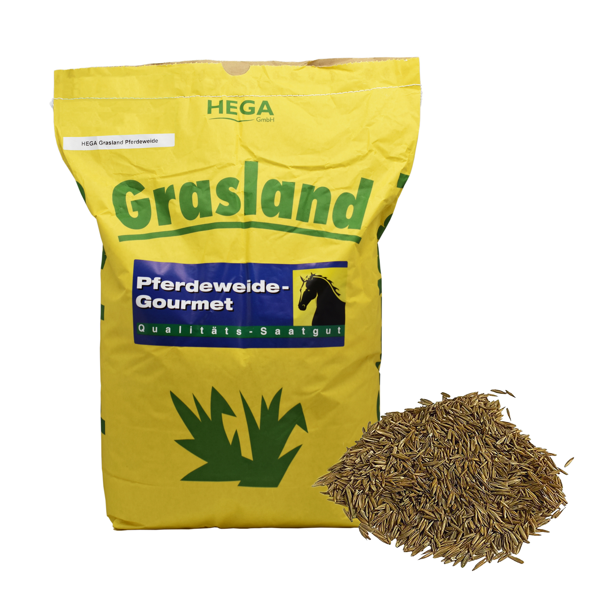 Grasland Pferdeweide ohne Kräuter