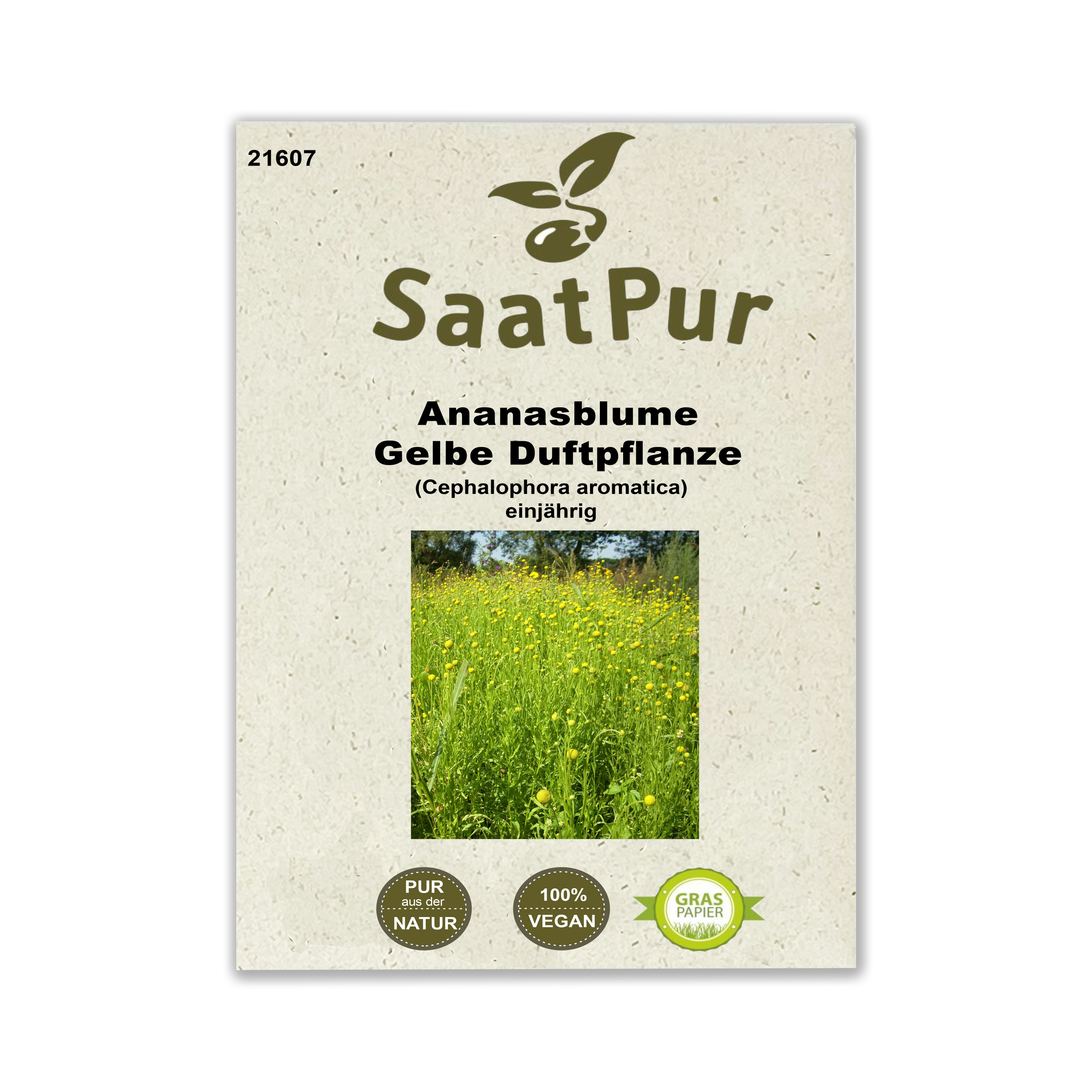 Ananasblume, Duftblume