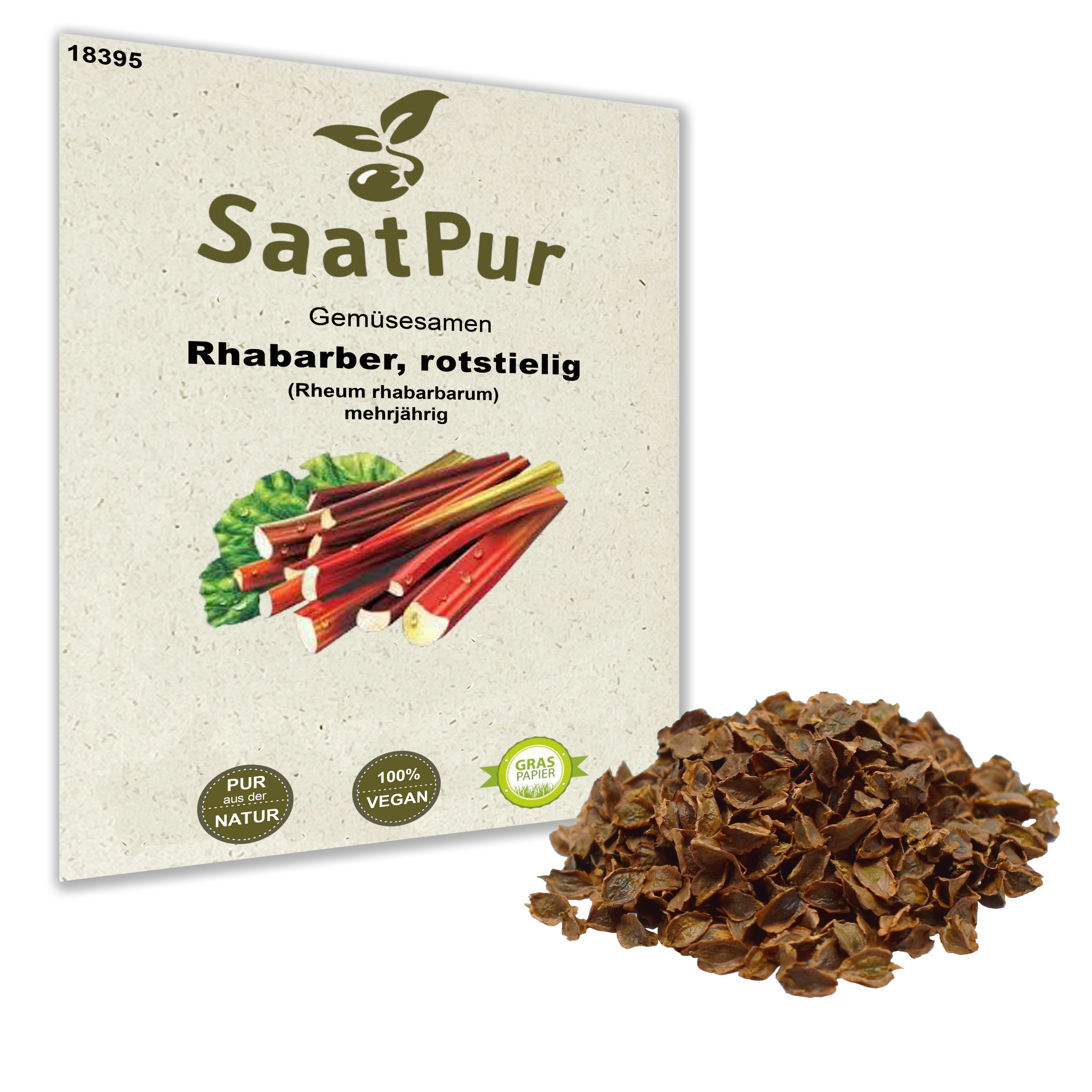 Rhabarber rotstielig (Rheum rhabarbarum)