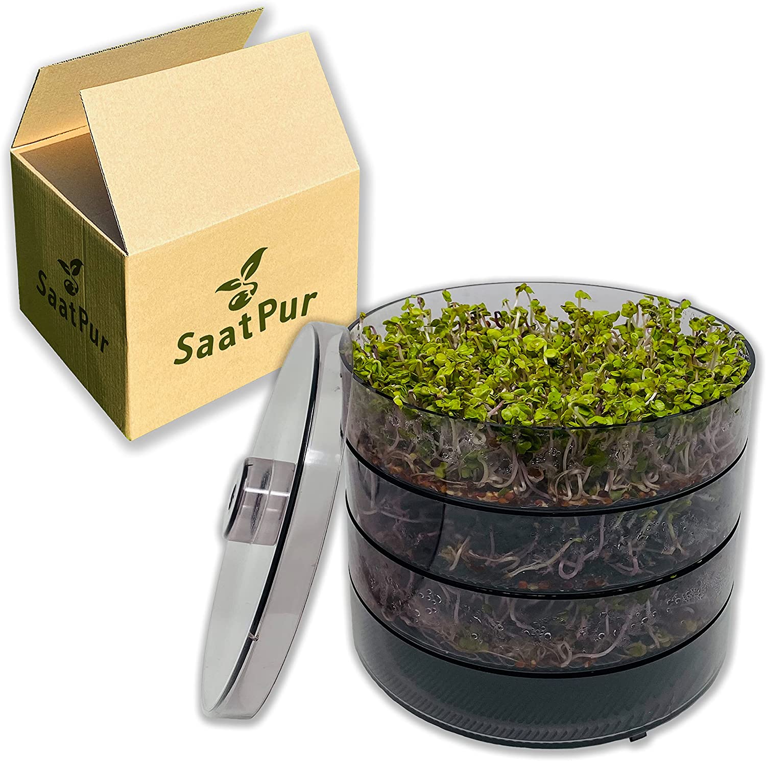 SaatPur Sprossenbox Set 3 - Keimgarten Keimbox Keimsaat Keimgerät Sprossen ziehen