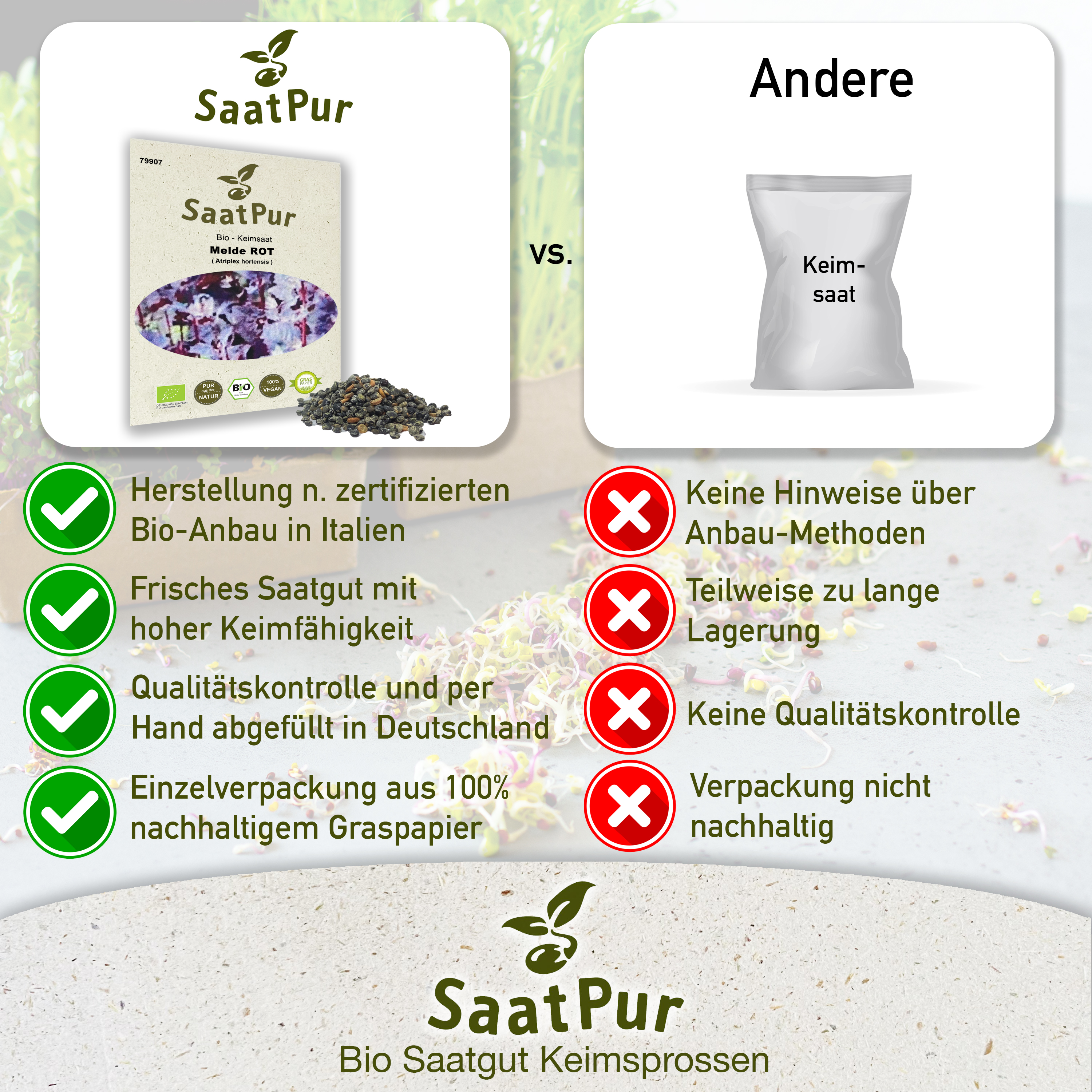 BIO Keimsprossen Melde ROT Keimsaat Microgreens