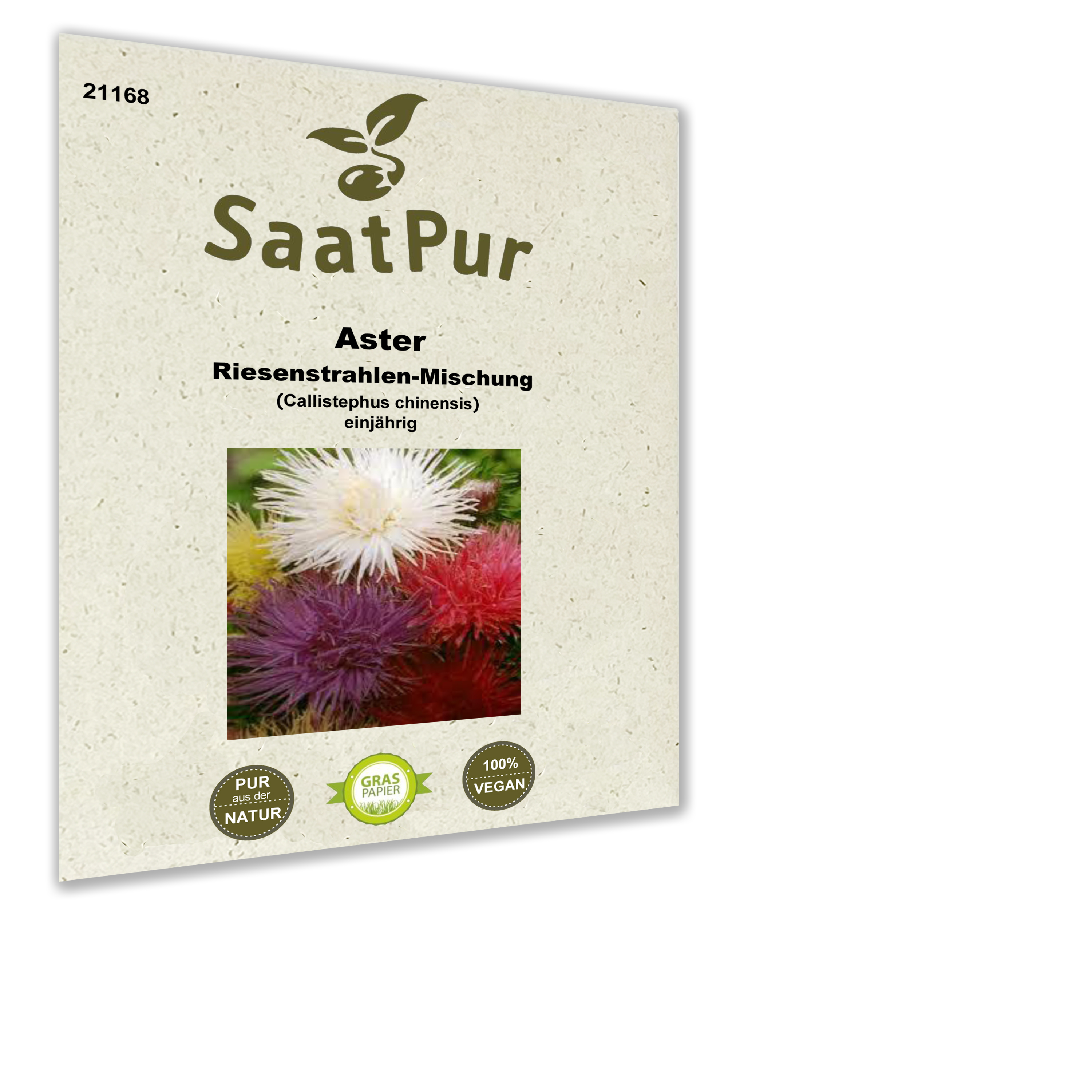 Aster Riesenstrahlen-Mischung