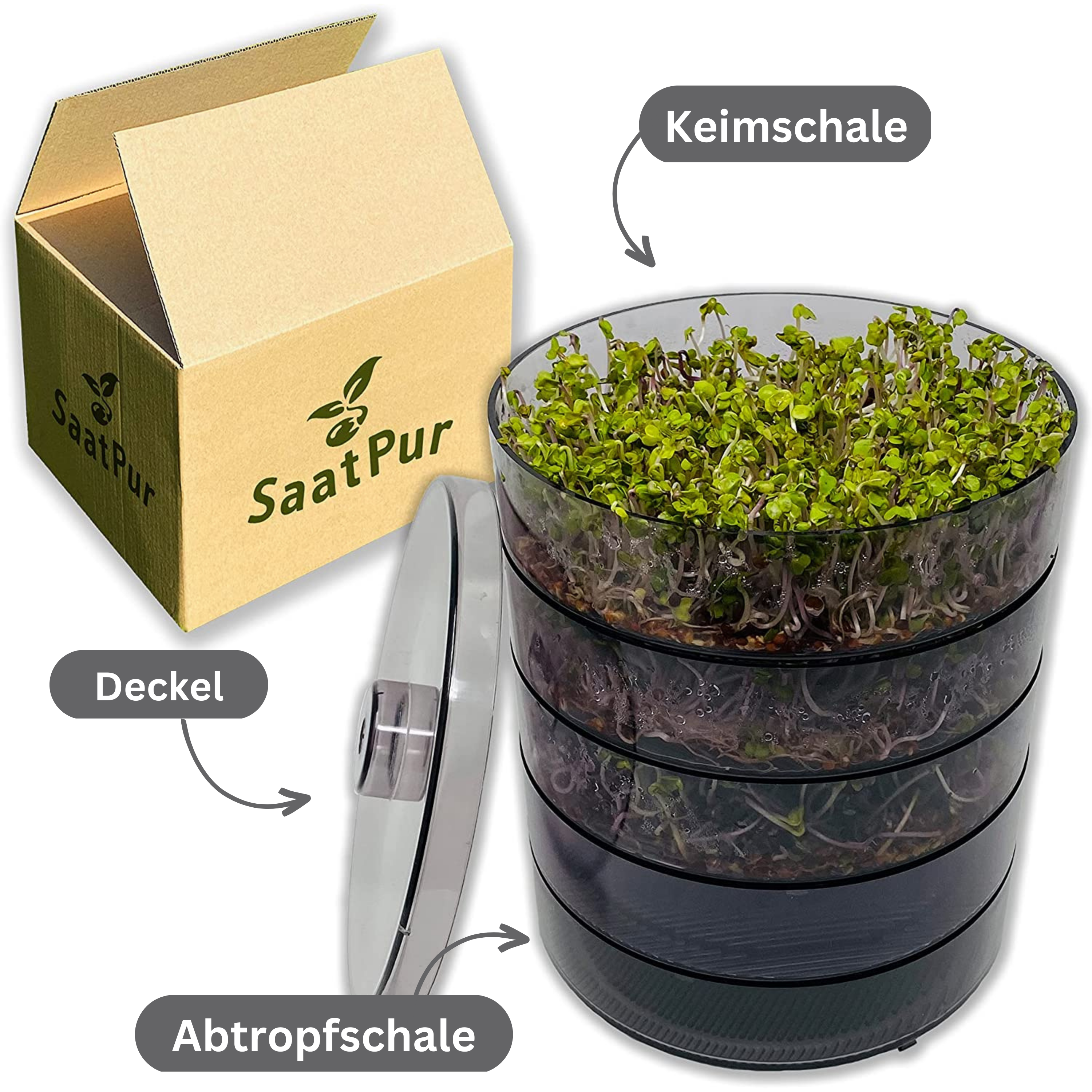 SaatPur Sprossenbox Ersatzschalen, Deckel, Auffangschale