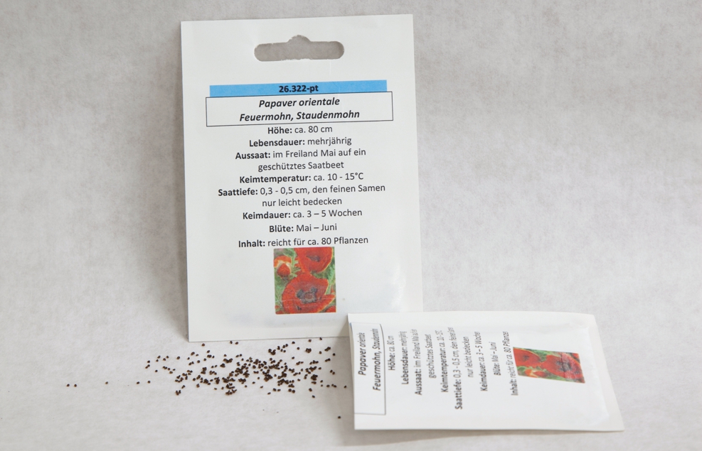 Mohn, Feuer- oder Staudenmohn