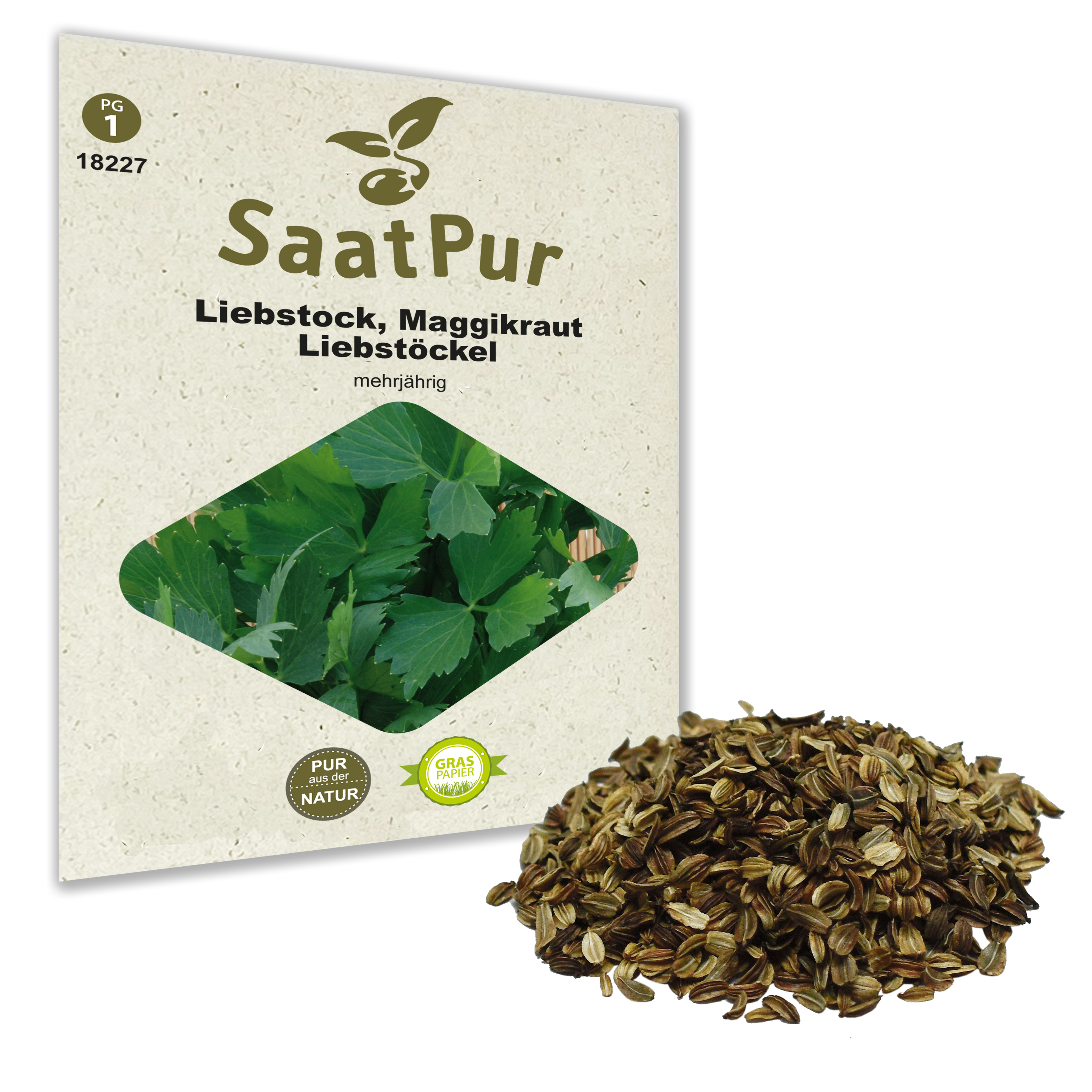 Liebstöckel (Maggikraut) - für ca. 80 Pflanzen