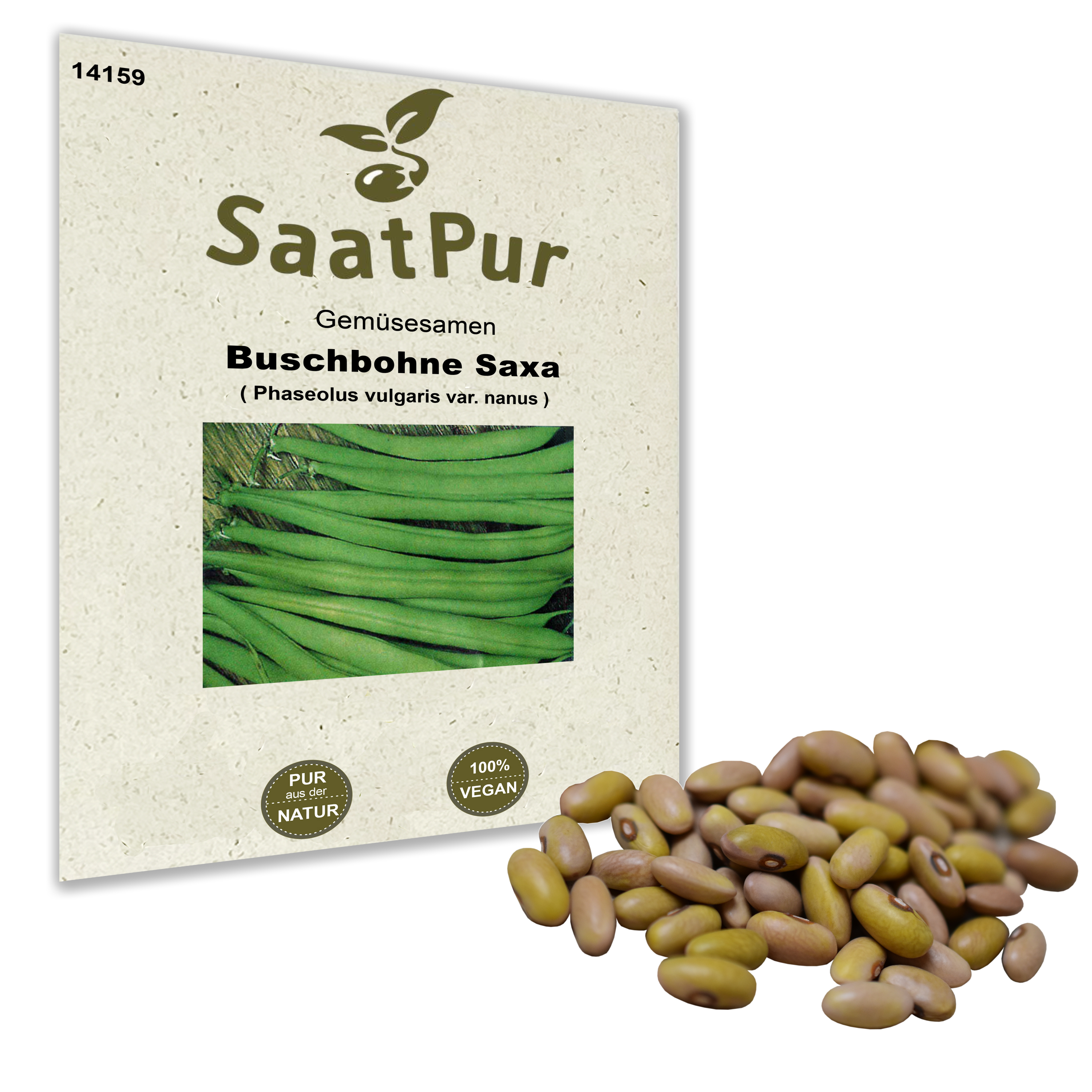 Buschbohne Saxa - Großpackung 500 g