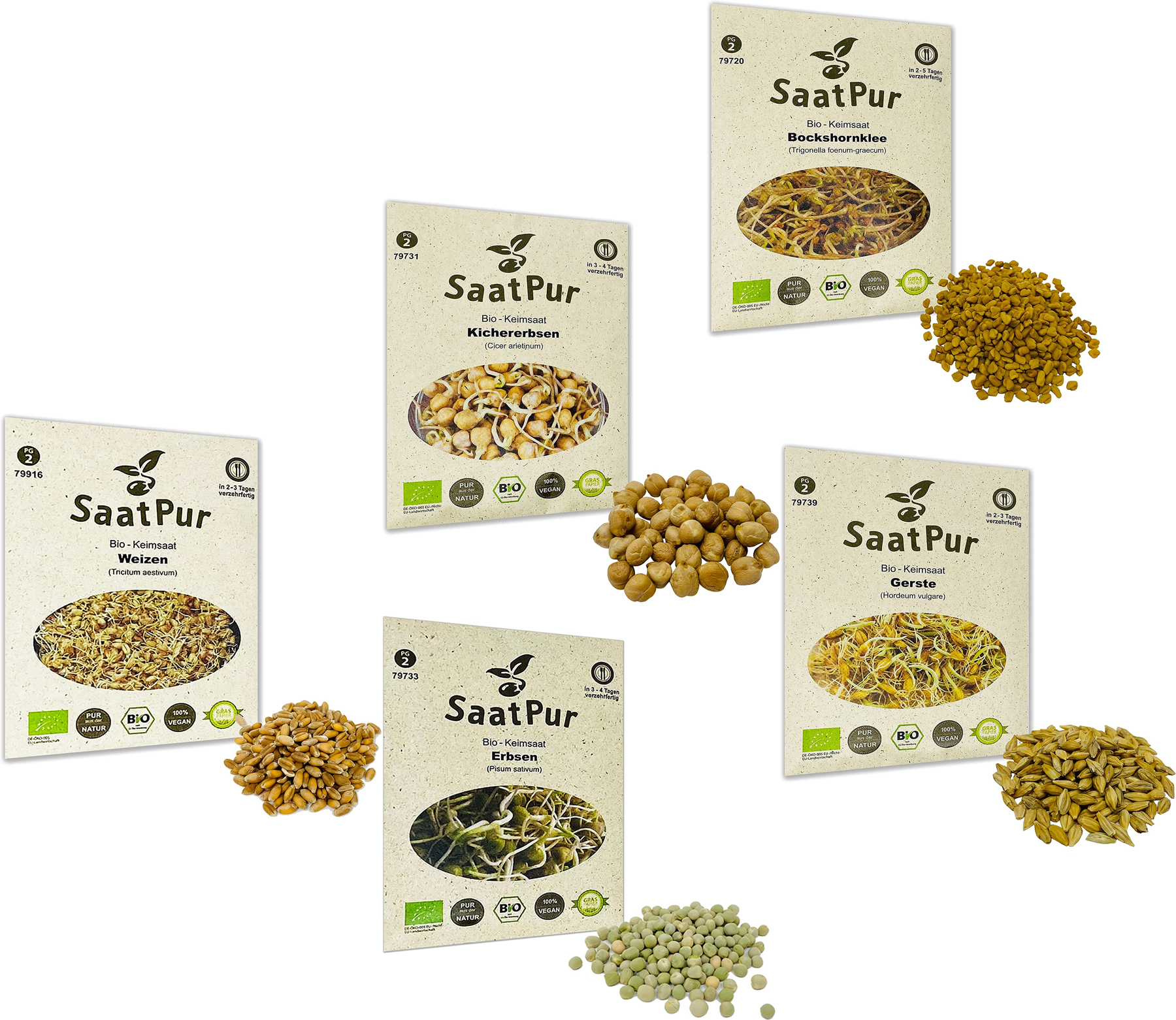 Yellow Mix Bio-Keimsprossen Set - Gerste Kichererbse Erbsen Bockshornklee Weizen