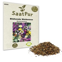 Wildblumen-Mischung Blühende Waldwiese Wildblumen-Mischung Blühende Waldwiese