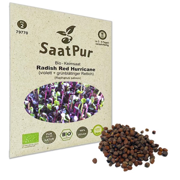 BIO Keimsprossen Radish Red Hurricane violett- u. grünblättriger Rettich Keimsaat 30 g