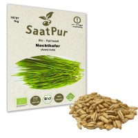 BIO Keimsprossen Nackthafer Keimsaat Mikrogrün 500g BIO Keimsprossen Nackthafer Keimsaat Mikrogrün 500g