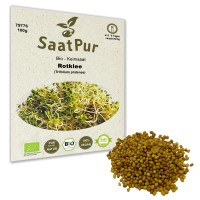 BIO Keimsprossen Rotklee Keimsaat Microgreen Grünkraut BIO Keimsprossen Rotklee Keimsaat Microgreen Grünkraut