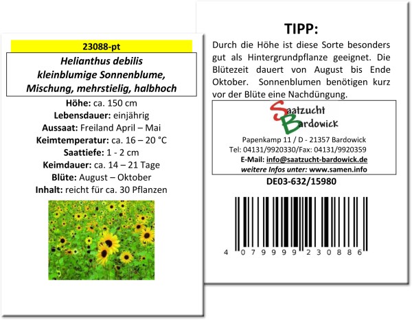 Sonnenblume kleinblumige Mischung