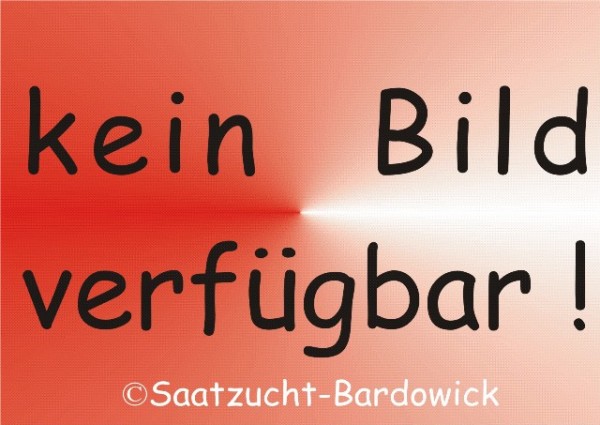 Buschbohne Facta Trockenkochbohne 250 g