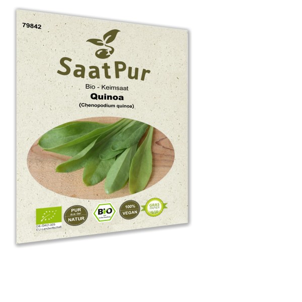 BIO Keimsprossen Quinoa Keimsaat Microgreens