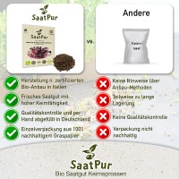 Vorschau: BIO Keimsprossen Radies Sango Mikrogrün Microgreen Keimsaat Vorschau: BIO Keimsprossen Radies Sango Mikrogrün Microgreen Keimsaat