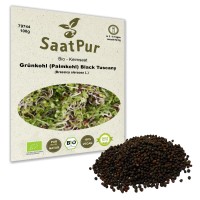 BIO Keimsprossen Grünkohl, Palmkohl Black Tuscany Keimsaat Mikrogrün Microgreen BIO Keimsprossen Grünkohl, Palmkohl Black Tuscany Keimsaat Mikrogrün Microgreen