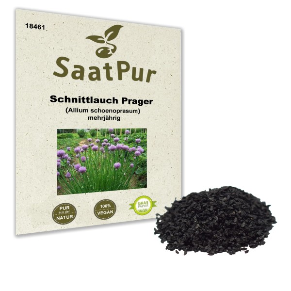 Schnittlauch Prager