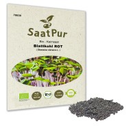 20g BIO Keimsaat für Sprossen Blattkohl ROT Samen Keimsprossen 20g BIO Keimsaat für Sprossen Blattkohl ROT Samen Keimsprossen
