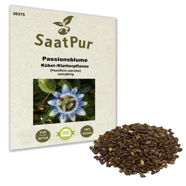 Passionsblume