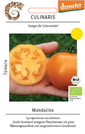Fleischtomate Mandaline 15 Korn Große leuchtend orangene Fleischtomate mit guter Pflanzengesundheit