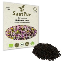 BIO Keimsaat Kohlrabi Rosa Keimsprossen Microgreen BIO Keimsaat Kohlrabi Rosa Keimsprossen Microgreen