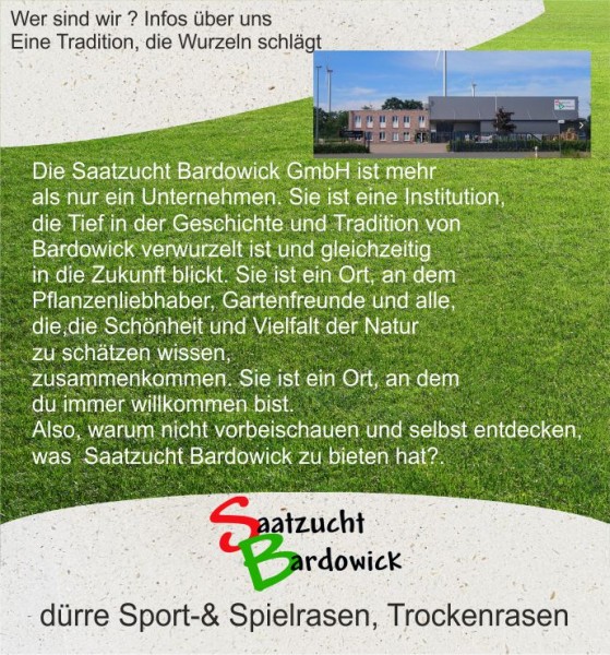 Dürreresistente Rasenmischung Sport + Spielrasen  strapazierfähig - grün trockener Standort Trocke