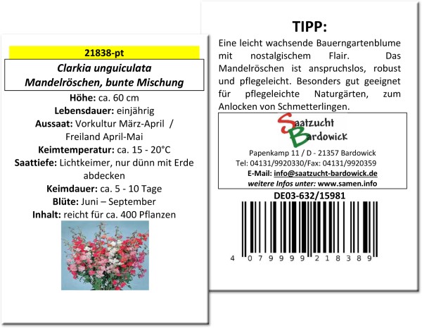 Mandelröschen, bunte Mischung