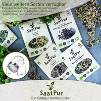 Vorschau: BIO Keimsprossen Radies Sango Mikrogrün Microgreen Keimsaat Vorschau: BIO Keimsprossen Radies Sango Mikrogrün Microgreen Keimsaat
