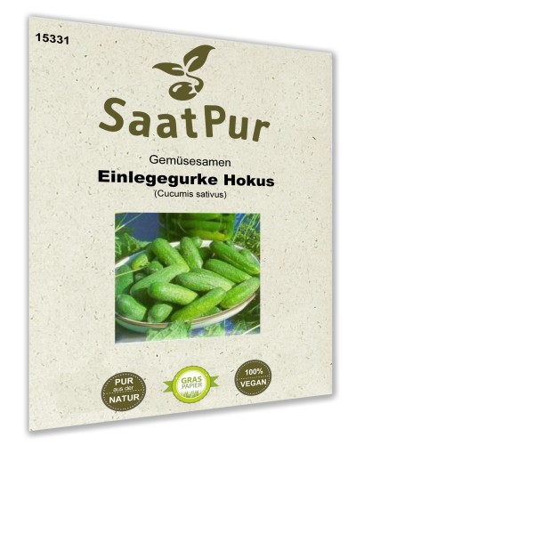 Einlegegurke Hokus Gurkensamen Gurke bitterfrei Snack Gurke