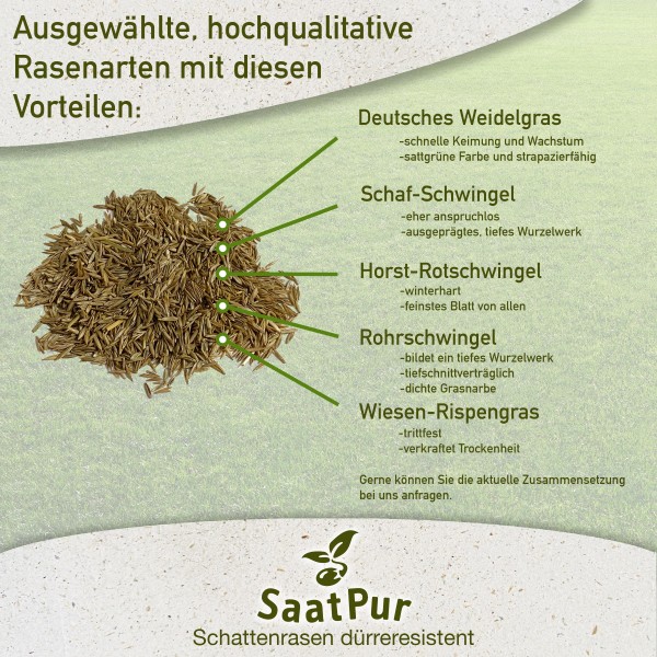 SaatPur® Rasensamen dürre Schattenrasen 2,5kg Trockenrasen